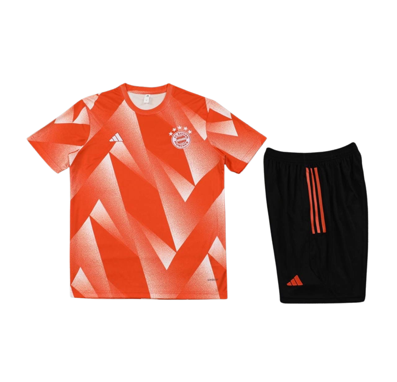 Training ensembles Bayern 2023/24 (rouge)